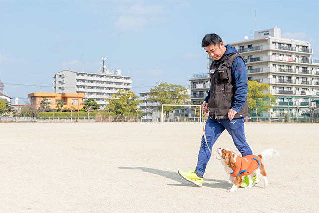 脚側行進（飼い主の歩調に合わせる）