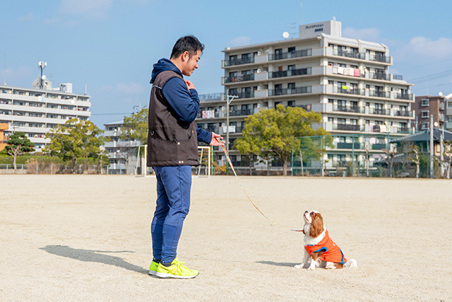 停座（お座り）