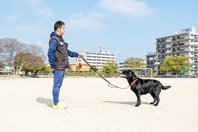 立止（立って待つ） 